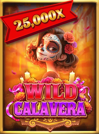 Dragon Tiger live card game cover at ab388